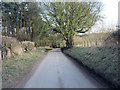 Spray Road passes south of Cowleys Copse