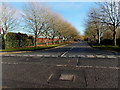 Tree-lined road to Newport International Sports Village