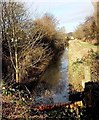 Drainage channel at the eastern edge of Reevesland Industrial Estate, Newport