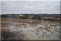 SP4642 : Flooding by the River Cherwell by N Chadwick