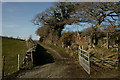 Gate on the Bridleway, Portmeirion, Gwynedd