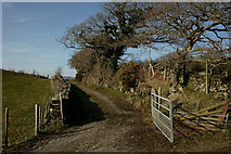 SH5837 : Gate on the Bridleway, Portmeirion, Gwynedd by Peter Trimming