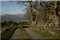 Along the Bridleway, Portmeirion, Gwynedd