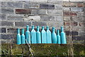 Ten Green Bottles