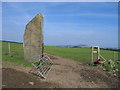 SS7299 : Carreg Bica Standing Stone by Rude Health 