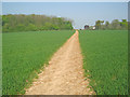 Leicestershire Round east of Shackerstone