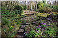 SP0583 : The sandstone rock garden at Winterbourne by Phil Champion