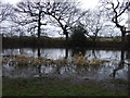 Pond off Lumb Brook Road