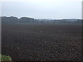 Farmland near Reddish Hall