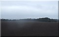 Farmland off Cartridge Lane 