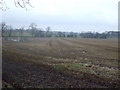 Farmland off Cliff Lane