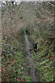 Footpath at Holmes Hill