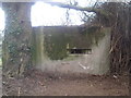 Pillbox at Carlton Manor