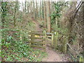 Part of the Usk Valley Walk near Chainbridge