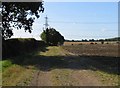 Track and Fields south of B1038