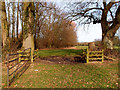 Gate at West Stowell