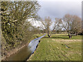 Stillingfleet Beck