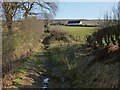 NS4081 : Footpath to Auchincarroch Road by Lairich Rig