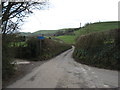 The lane to Corton Denham