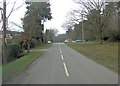 Woodlands Road east of Busketts Wood