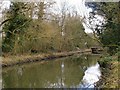 The River Crane: view downstream towards the Hanworth Road bridge