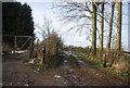 Farm track off Meresborough Rd