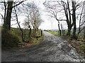 Country lane, Castledamph