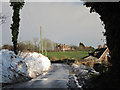 Snow sided road to Crowhurst