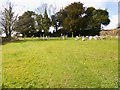 Cheselbourne, burial ground