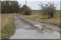 Track towards Hillside Plantation