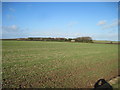 Over  field  to  Raven  Hill  Farm