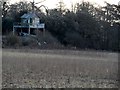 Shed on stilts or tree house?