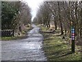 Killingworth Waggonway, Rising Sun Country Park