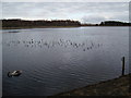 A chilly Clatto Reservoir