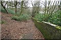 Footpath near The Oaks