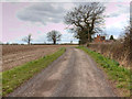 Driveway to Budbrooke Farm