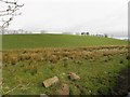 Kilcootry Townland