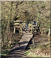 Footbridge across Gilt Brook, Bogend NG16, Notts.