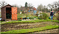 Clifford Road Allotments