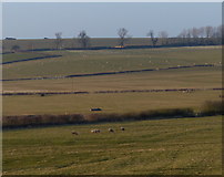 SP7894 : Farmland north of the village of Slawston by Mat Fascione