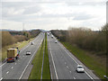 Knowsley Expressway, Cross Hillocks Woods