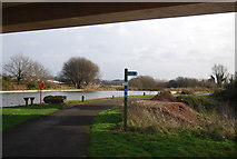 SX9588 : Footpath off Exe Valley Way by N Chadwick