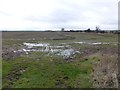 Saturated fields near New Hall farm