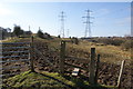 Footpath near Norden Brook