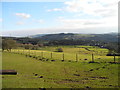 Farmland, east of Cowlishaw Farm