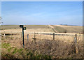 Downland Fields at Old Warren