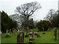 Milton, St Mary Magdalene: churchyard (vi)