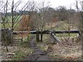 Pipeline alongside the Lanchester Valley Railway Path