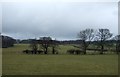 Farmland off the A675