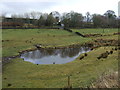 Pond near Lower Roddlesworth Farm